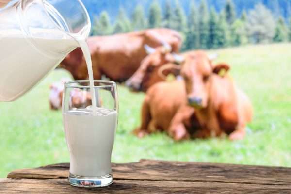 You can try any of the alternatives to cow’s milk