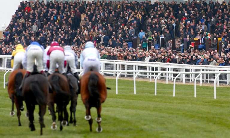 Horse racing at Cheltenham Festival betting