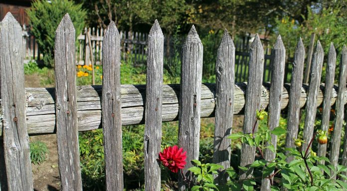 wooden garden structure