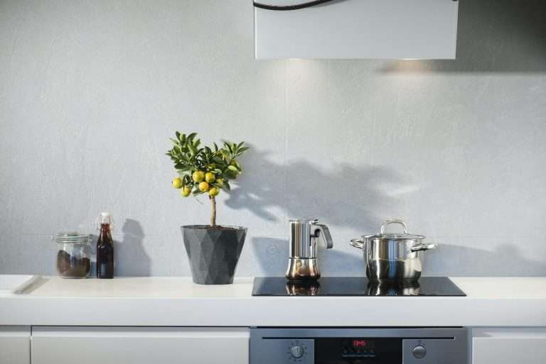 After Kitchen renovation with Plant tub on it