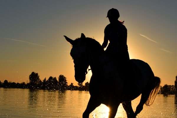 Unleash Your Inner Adventurer with a Horse Riding Holiday