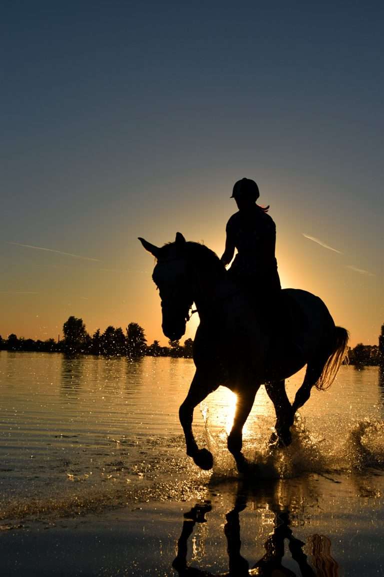 Unleash Your Inner Adventurer with a Horse Riding Holiday