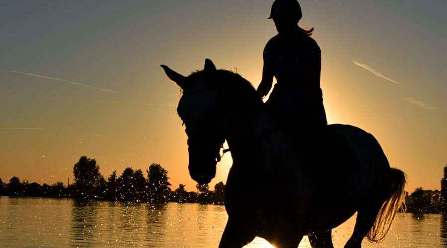 Unleash Your Inner Adventurer with a Horse Riding Holiday