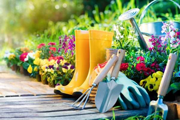 12 Essential Garden Tools Every Beginner Needs – Plus a Bonus