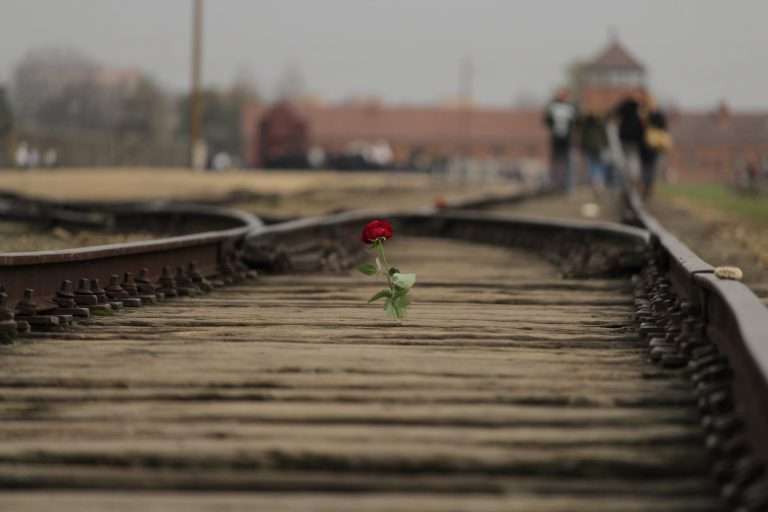 A Journey Through History: The Auschwitz Tour