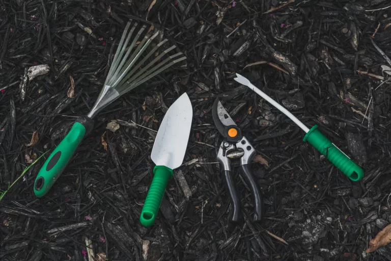 A Comprehensive Guide to Essential Trowels