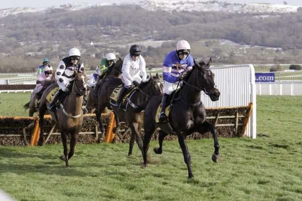 Cheltenham Festival: A look ahead to Champion Day