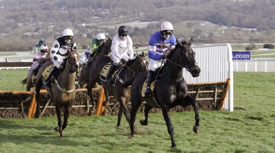 Cheltenham Festival: A look ahead to Champion Day