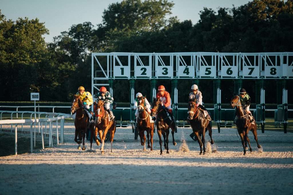 Races in UK Horse Racing ground