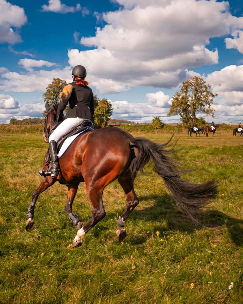 Girl riding Horse in an open field