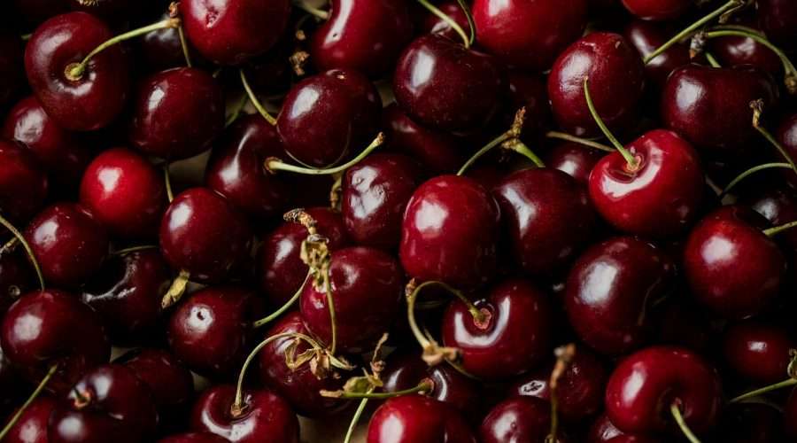 The Enchantment of the Brouwer Cherry: An Exploration of a Sweet Heritage