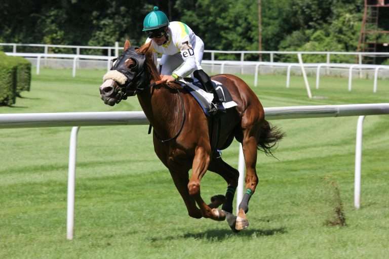 Horse racing in the City Of Troy