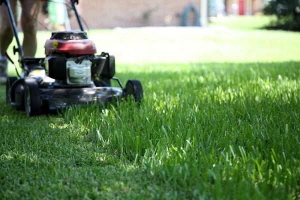 Cutting Edge Care: How to Sharpen Your Lawnmower Blades for a Perfect Lawn