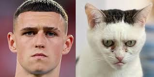 Phil Foden and the his looalike cat