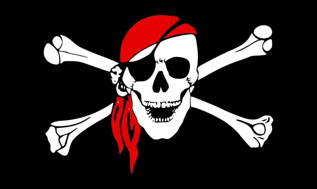 PirateSnoop